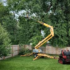 Best Pest Control for Lawns  in Camp Swift, TX